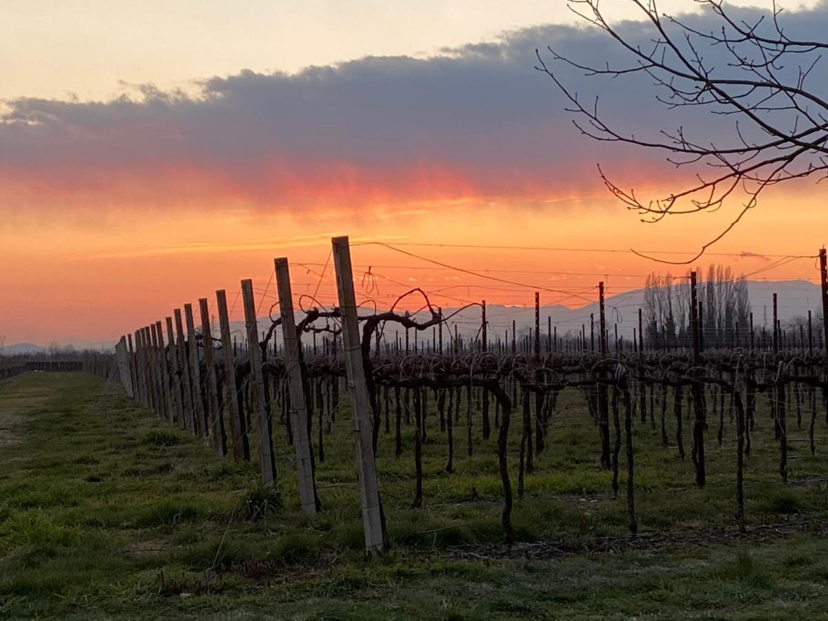 Agriturismo Richeton Gaiarine エクステリア 写真